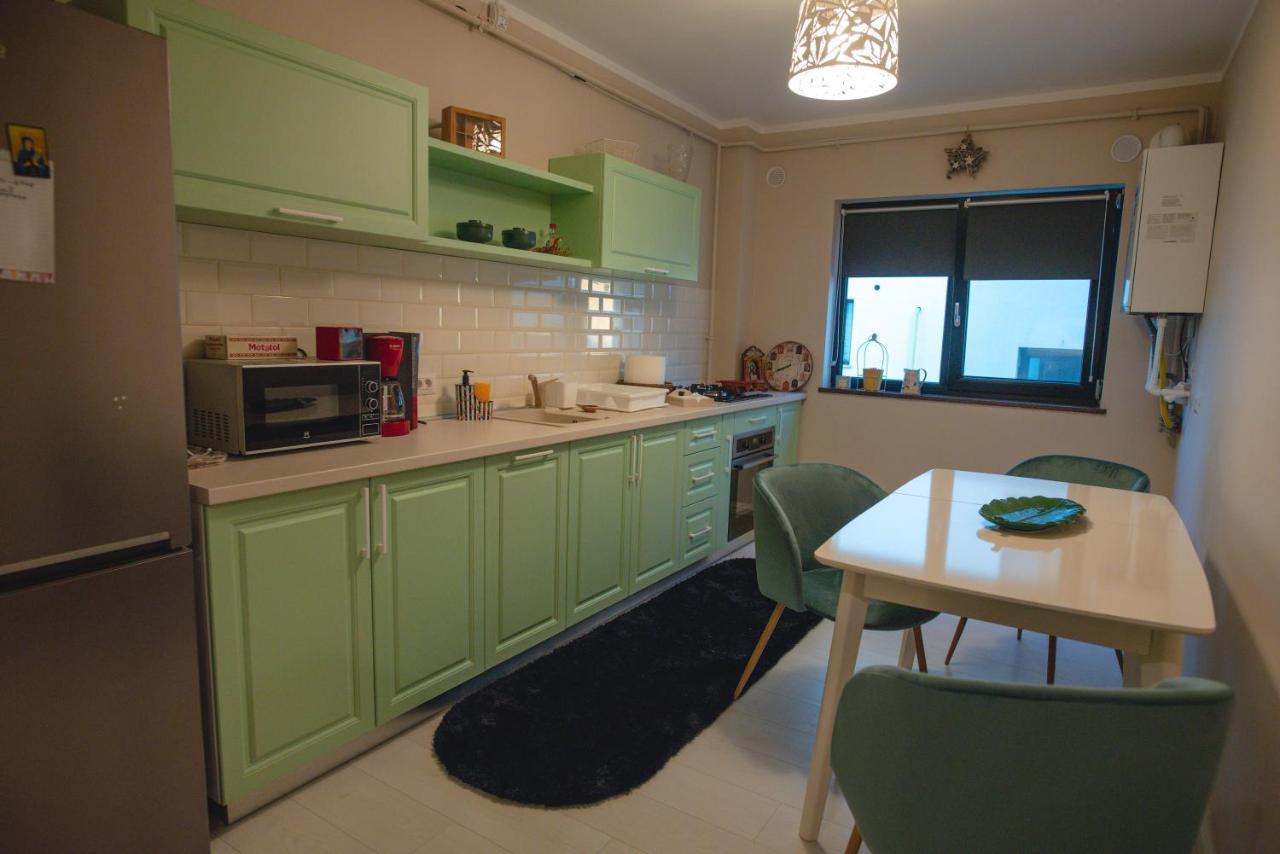 La Stejari Apartment Suczawa Zewnętrze zdjęcie