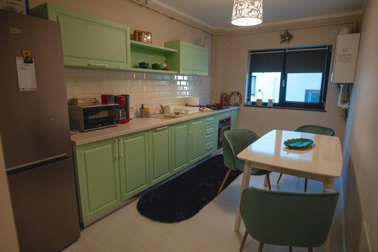 La Stejari Apartment Suczawa Zewnętrze zdjęcie
